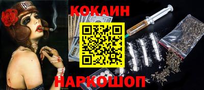 крисы Моздок