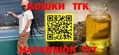 крисы Моздок