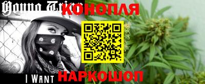 крисы Моздок