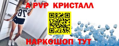 крисы Моздок