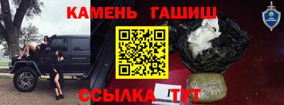 крисы Моздок