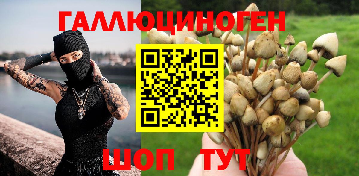 Таганрог  Галлюциногенные грибы прущие грибы  Псилоцибиновые грибы прущие грибы  Вход с VPN 